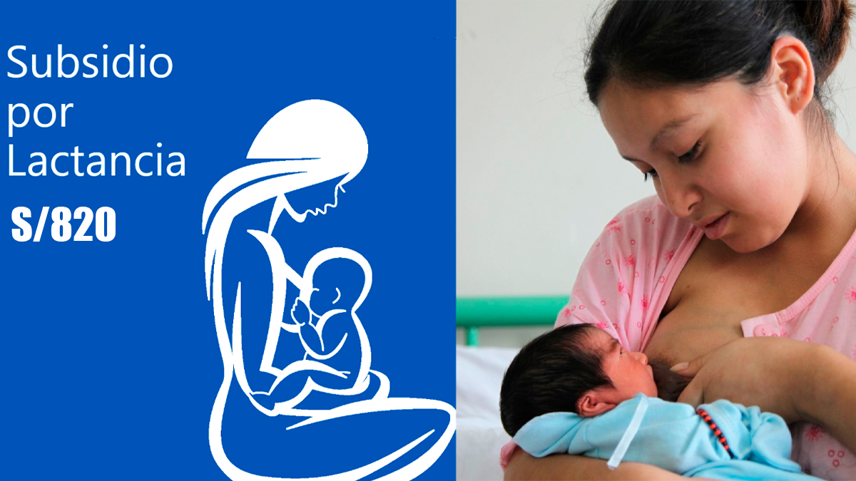 bono lactancia materna link consulta con DNI essalud
