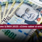 bono 800 soles 2023 link consulta con DNI