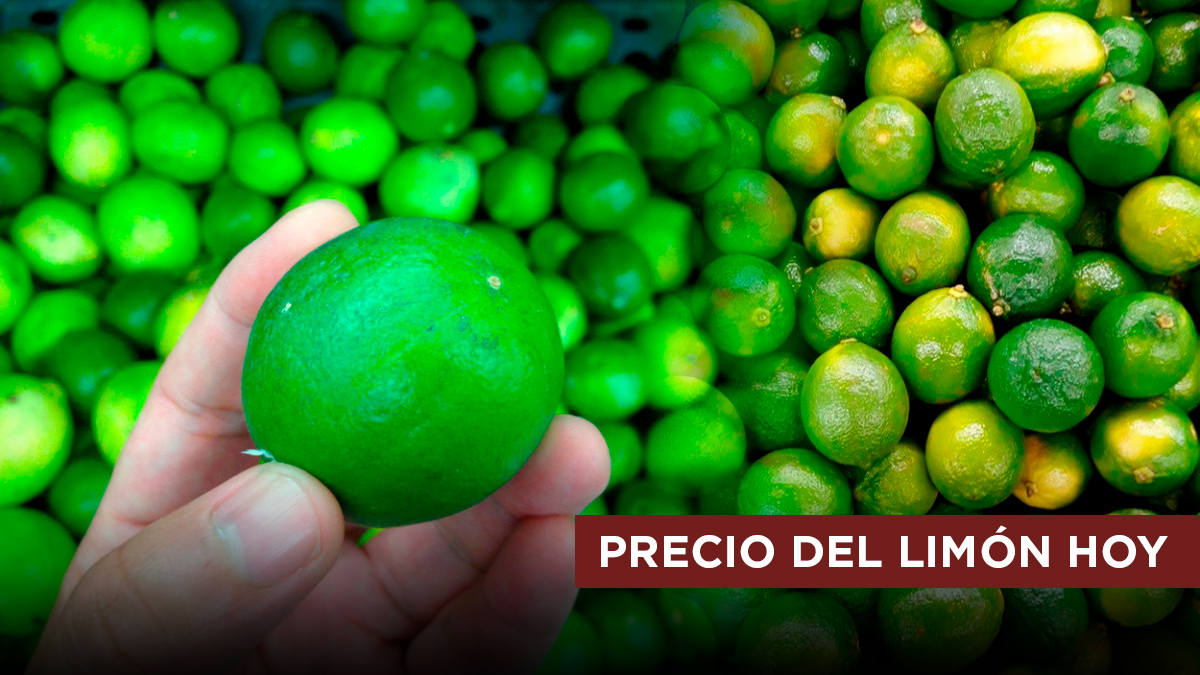 Kilo de limón: ¿Cuál es su precio en Perú HOY?