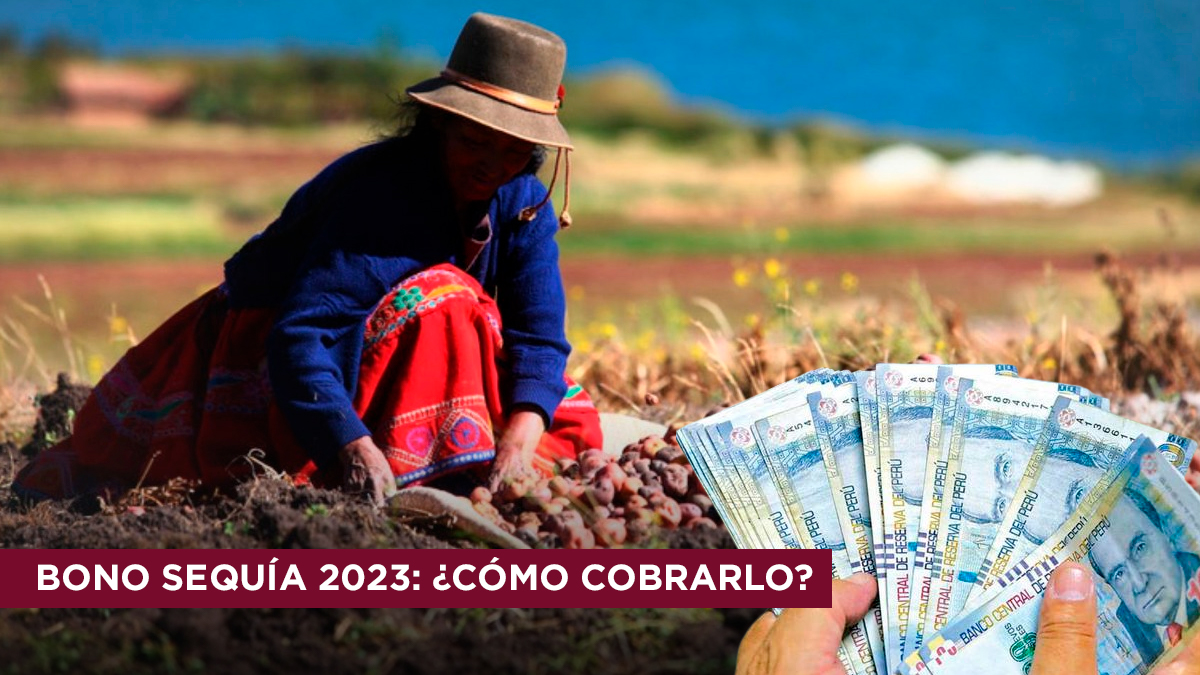 Bono Sequía 2023: Cómo cobrar los S/800 del Midagri