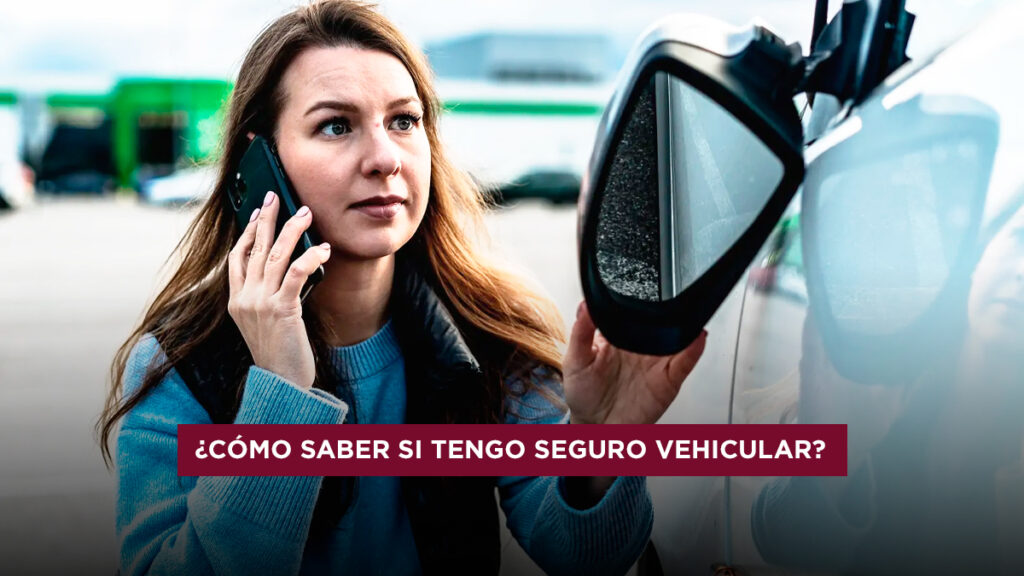 cómo saber si mi auto tiene seguro vehicular