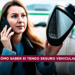 cómo saber si mi auto tiene seguro vehicular